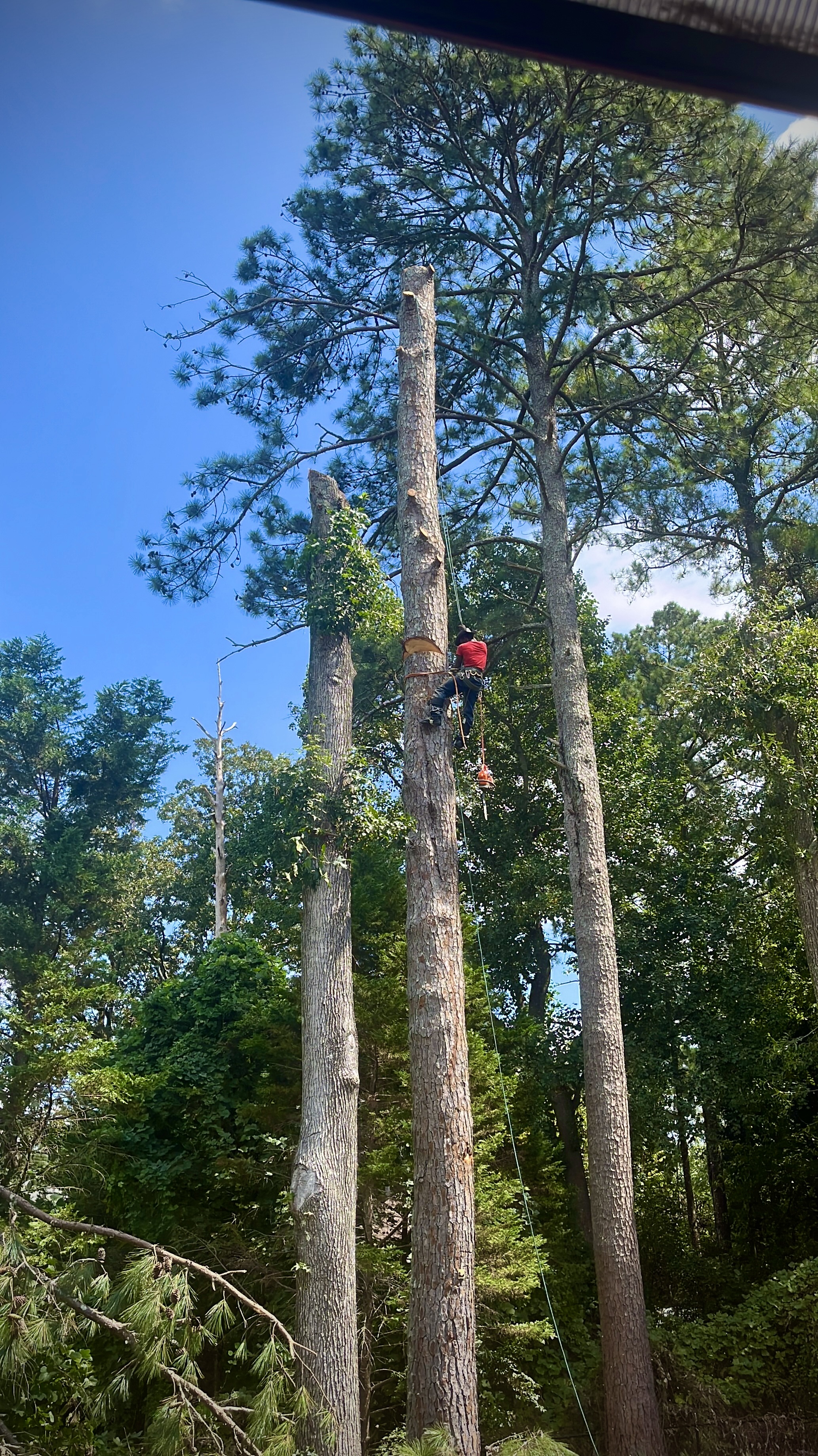 Climbing Class